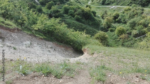 Rabbit hole on the hill 