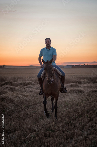 Horseback rider walking viewed from the front in the field on a straw stubble. Horse riding.