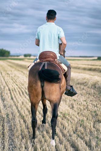 Horseback rider walking seen from the back, in the field on a straw stubble. Horse riding.