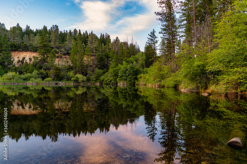 Reflections On Hirschman Pond in Nevada City, California photo