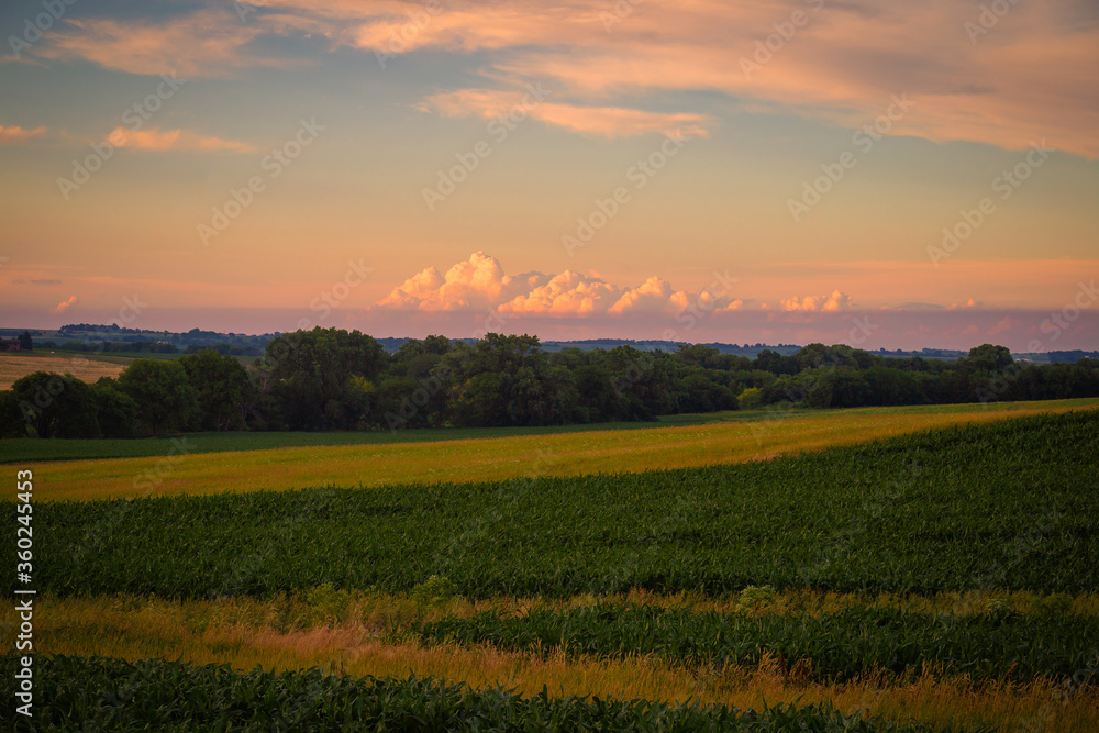 sunrise over the field