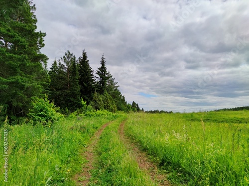 country road near the forest against a cloudy sky
