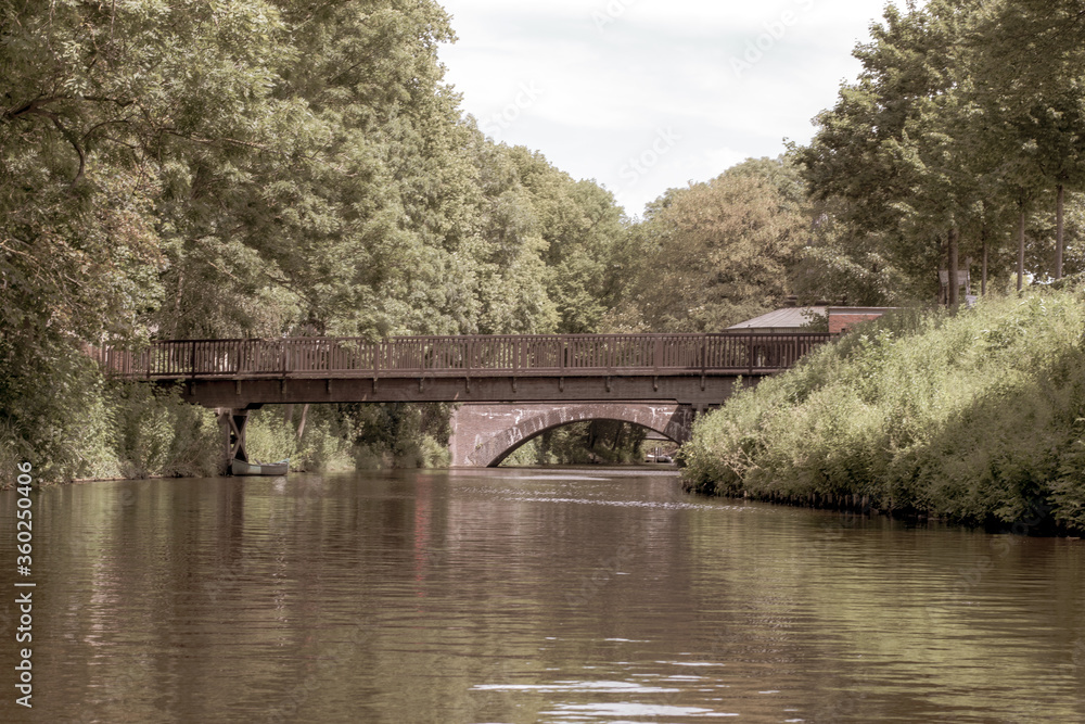 bridge over river in the forest