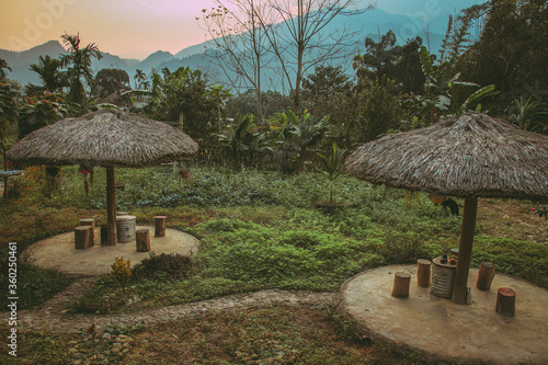 Tranquil view of a backyard vegetable and fruit garden in Ha giang Vietnam  that shows the everyday life and culture in the countryside © MarieXMartin