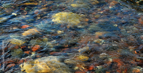 Coloured pebbles underwater Georgian Bay Ontario Canada