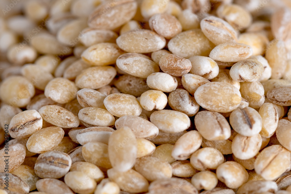 Pearl barley texture macro close up background Pearl barley texture macro close up background