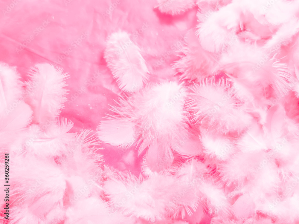 Fototapeta premium Beautiful abstract white and pink feathers on white background and soft white feather texture on pink pattern and pink background, feather background, pink banners