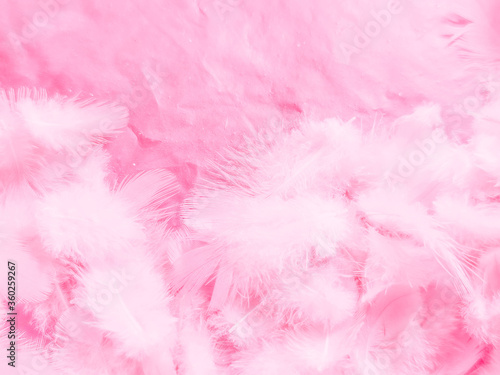 Beautiful abstract white and pink feathers on white background and soft white feather texture on pink pattern and pink background, feather background, pink banners © Weerayuth