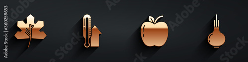 Set Leaf or leaves, Meteorology thermometer, Apple and Onion icon with long shadow. Vector