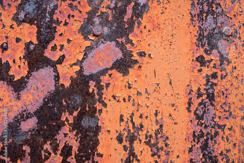 The old iron background is painted in red, pink, purple with rust and chips.