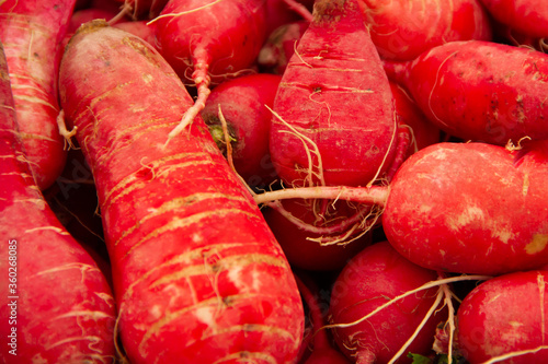 Red long radishes in the grocery stock