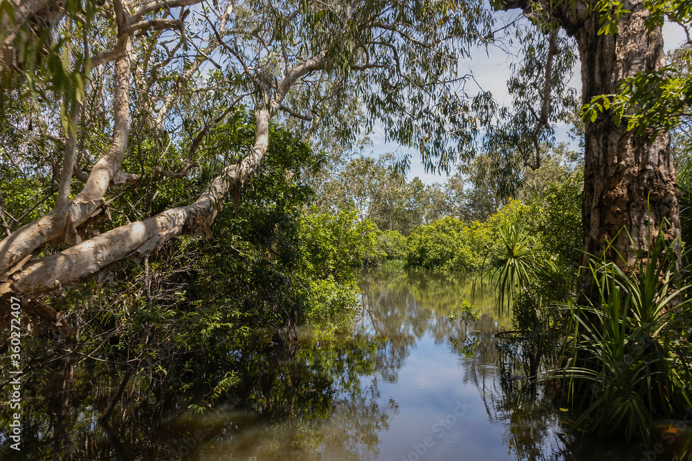A Typical Landscape in Australia's Northern Territories Wetlands
