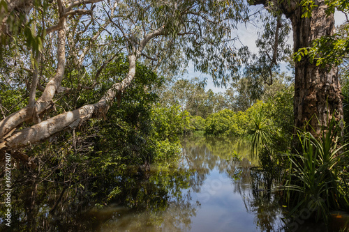 A Typical Landscape in Australia's Northern Territories Wetlands