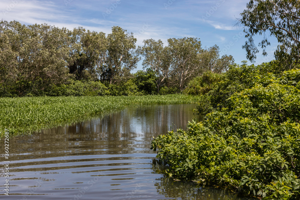 A Typical Landscape in Australia's Northern Territories Wetlands A Typical Landscape in Australia's Northern Territories Wetlands