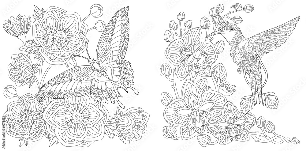 Coloring pages with butterfly and hummingbird Stock Vector | Adobe Stock