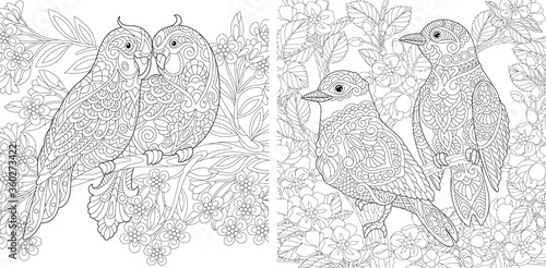 Coloring pages with birds in the garden