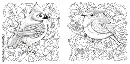 Coloring pages with birds and flowers