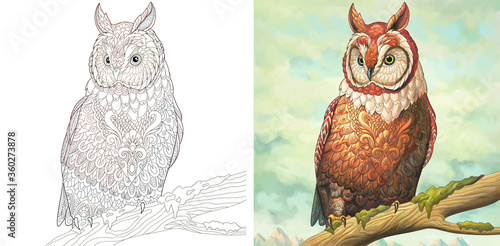 Coloring page and watercolor picture with owl