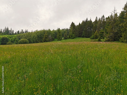 Poland Pieniny Mountains. Spring in Pieniny on a cloudy day.