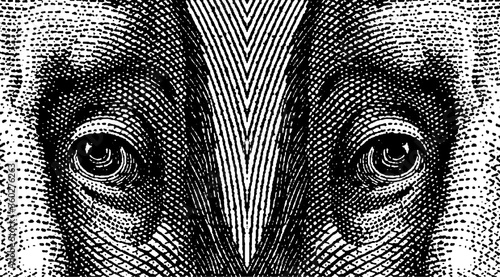 Eyes of Benjamin Franklin by CU