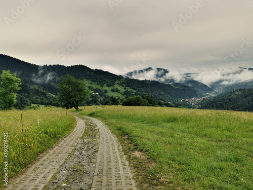 Poland Pieniny Mountains. Spring in Pieniny on a cloudy day.