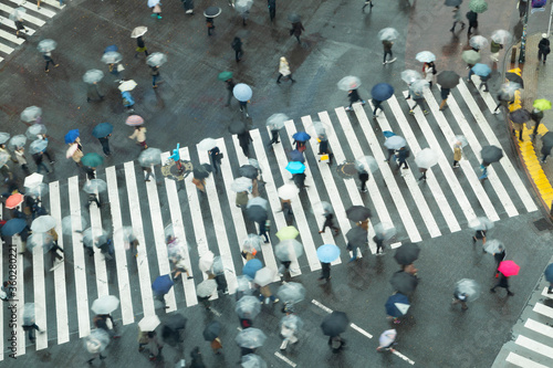 People walking across Shibuya Crossing, Shibuya, Tokyo, Japan photo