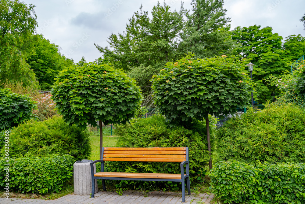 Obraz premium Lush green garden with stone landscaping, bush hedge and bench. Spring, summer view.