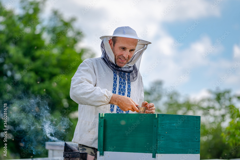 Beekeeper at apiary at the summer day. Man working in apiary. Apiculture. Beekeeping concept. Beekeeper at apiary at the summer day. Man working in apiary. Apiculture. Beekeeping concept.