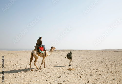 Camello con persona en el desierto