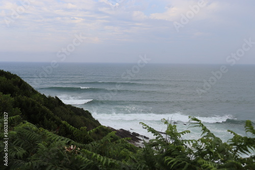 beach in the morning