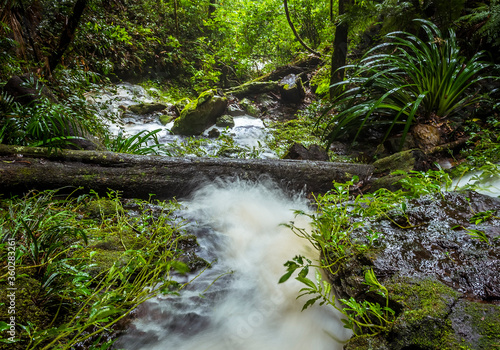 A stream gushes towards the rim of the mountain in Springbrook National Park  Queensland   from where it will cascade down into the forest