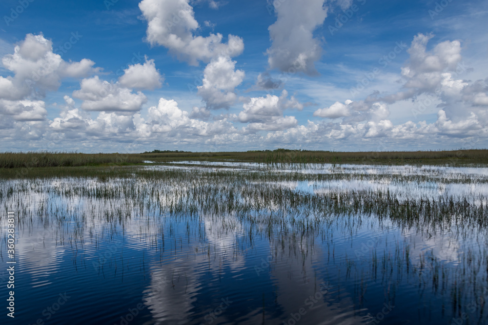 Reflection of clouds in calm water. Florida wetland, Airboat ride at Everglades National Park in USA. Amazing flatland in national park. Famous landmark and tourist place Reflection of clouds in calm water. Florida wetland, Airboat ride at Everglades National Park in USA. Amazing flatland in national park. Famous landmark and tourist place