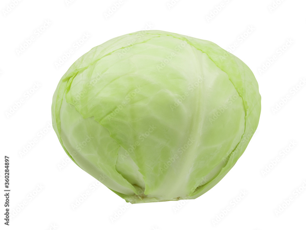 White cabbage on a white isolated background White cabbage on a white isolated background