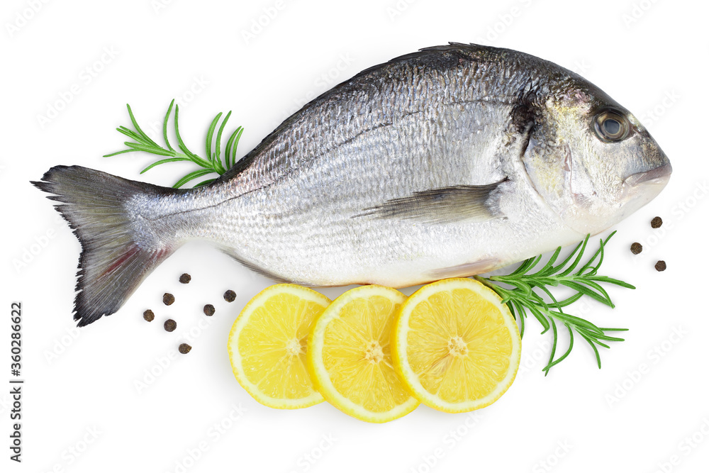 Fish dorado isolated on white background with clipping path and full depth of field. Top view. Flat lay Fish dorado isolated on white background with clipping path and full depth of field. Top view. Flat lay