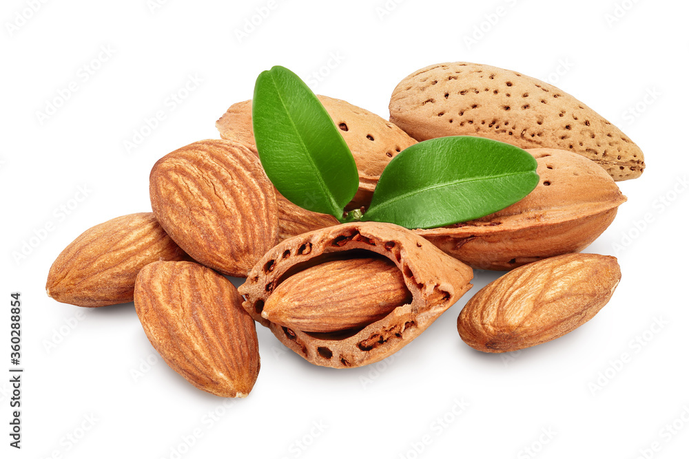 Almonds nuts with leaves isolated on white background with clipping path and full depth of field. Almonds nuts with leaves isolated on white background with clipping path and full depth of field.