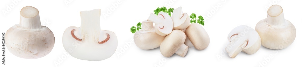 Fototapeta premium Fresh mushrooms champignon isolated on white background with clipping path and full depth of field. Set or collection