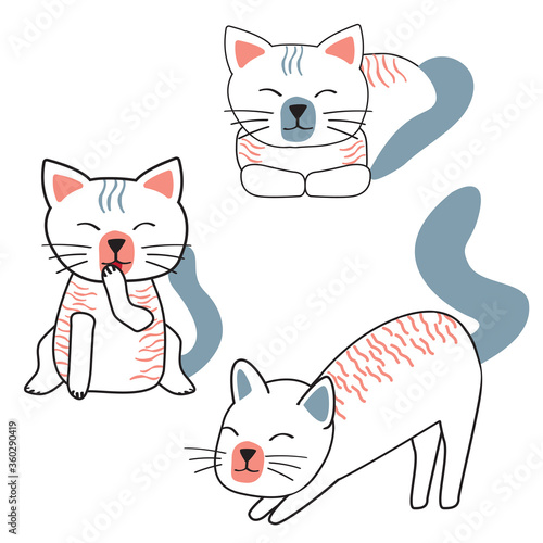 Cute cat at line art set with blue and rose colors