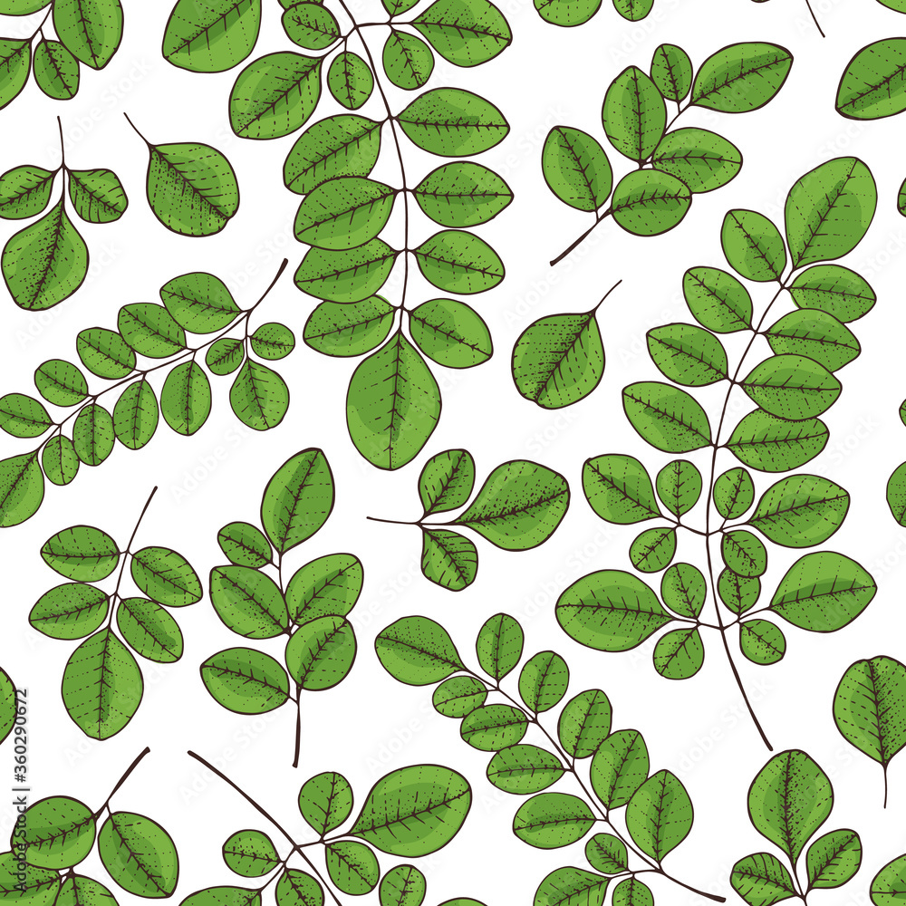 Green moringa leaf seamless pattern. Hand drawn vector illustration. Design for packaging.