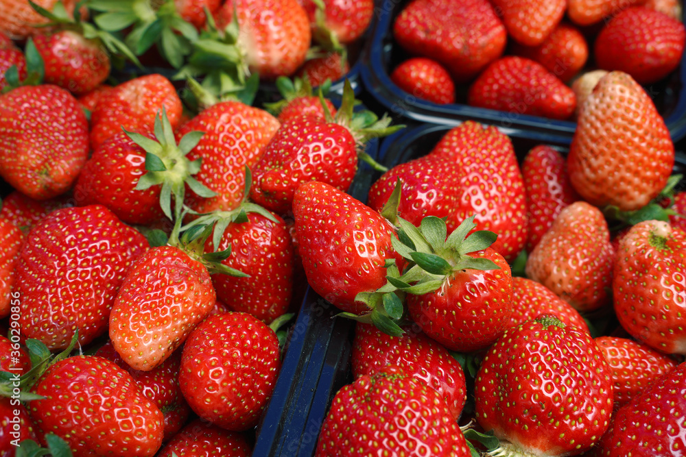 juicy strawberries in a box juicy strawberries in a box