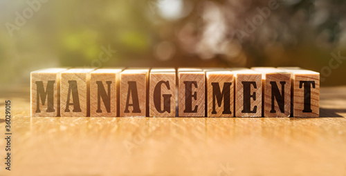 Woed MANAGEMENT made with building wooden blocks on table in sunlight