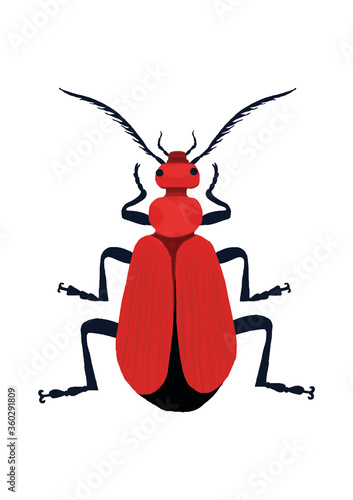 red bug vector illustration