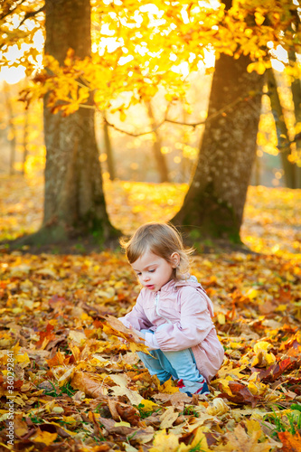Little girl picking up maple leaves
