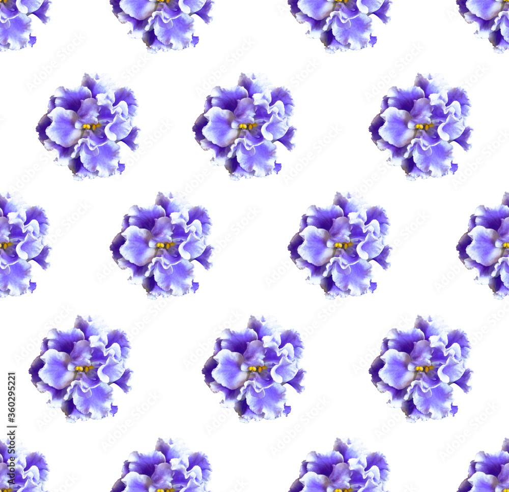 Seamless pattern with violet flowers on a white background. Design for packaging, fabric, Wallpaper, napkins, textiles, backgrounds. Seamless pattern with violet flowers on a white background. Design for packaging, fabric, Wallpaper, napkins, textiles, backgrounds.