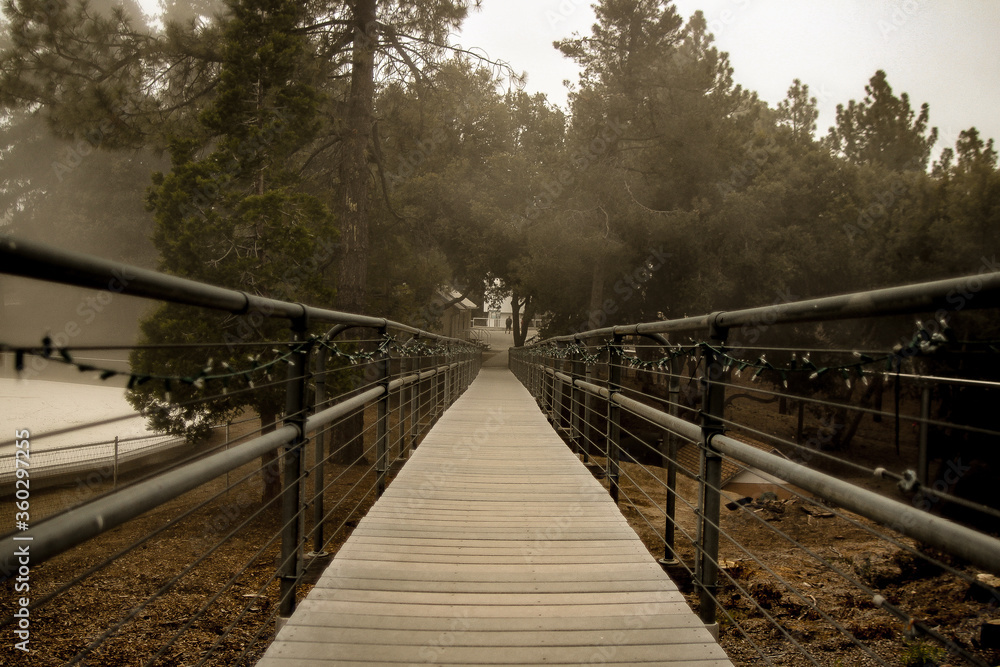 Obraz premium bridge in the forest