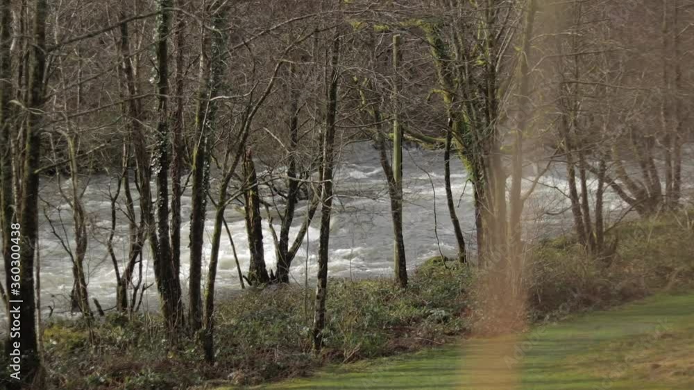 Afon Lledr river with fast moving water due to heavy rain. Medium Shot. Wales, Snowdonia, UK Day time Afon Lledr river with fast moving water due to heavy rain. Medium Shot. Wales, Snowdonia, UK Day time