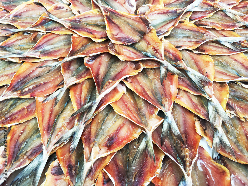 Traditional Sun dried fish on net at Local Thai Market Traditional Sun dried fish on net at Local Thai Market