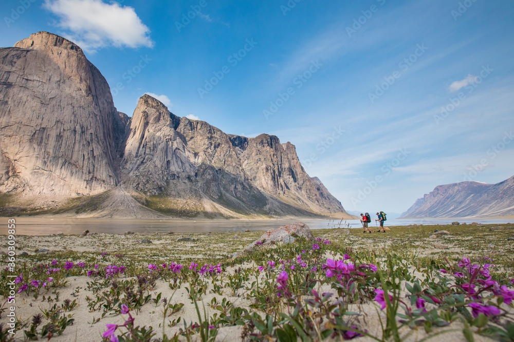 Two backpackers cross arctic tundra landscape in Akshayak Pass Two backpackers cross arctic tundra landscape in Akshayak Pass