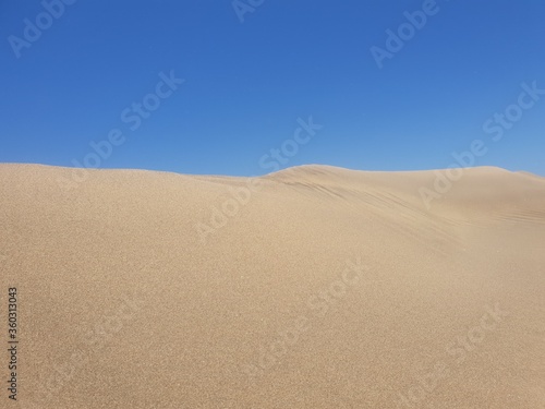 sand dunes in sahara desert