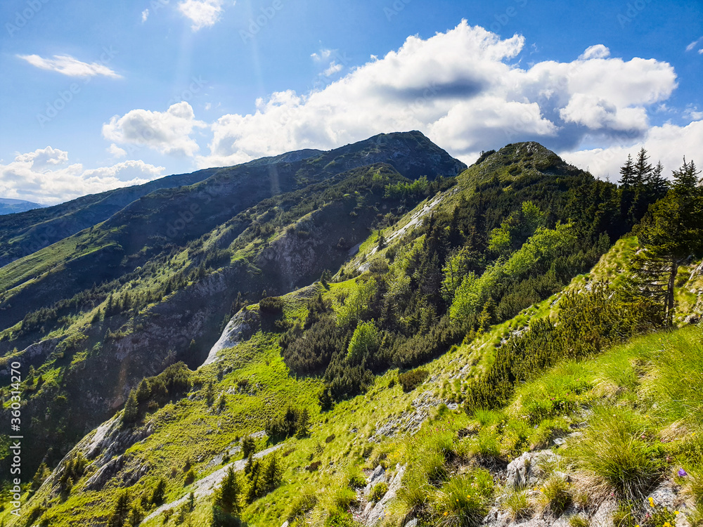 Romania, Piule Iorgovanu Mountains, Piule Peak, mountain landscape in summer