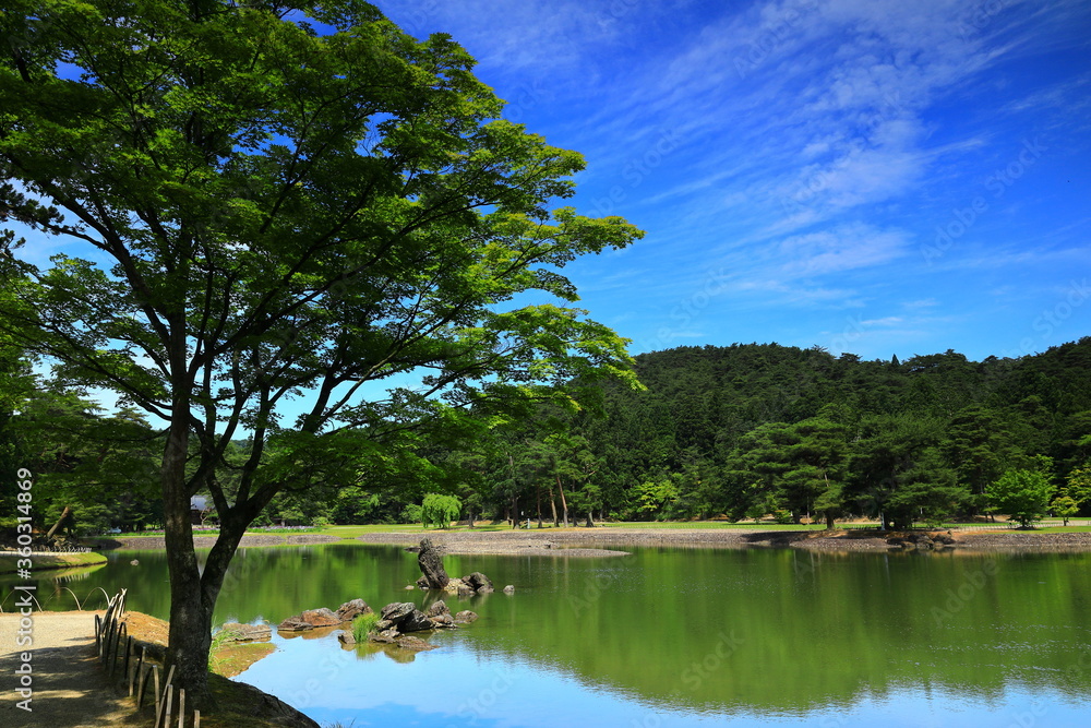 Obraz premium 世界遺産 初夏の毛越寺